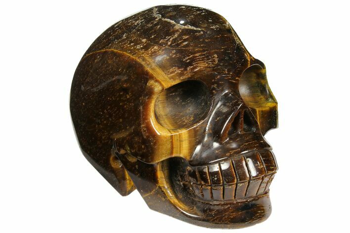 Polished Tiger's Eye Skull #110111